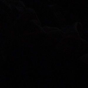 Meet your Posher, Eliana